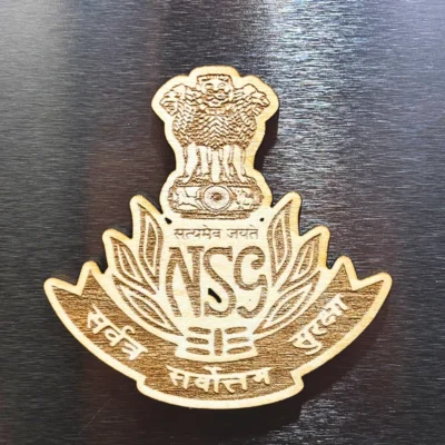 NSG fridge magnet